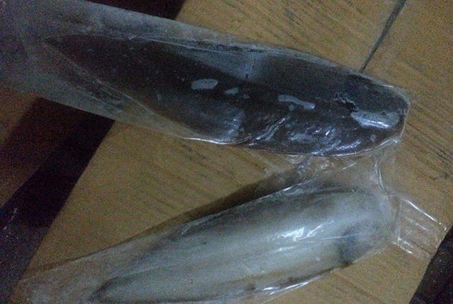 市场上有没有纯野生的鱼,纯野生便宜的鱼有哪些种类