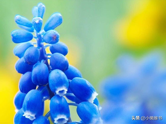 100本甜文短篇大合集,好看的甜宠文60本