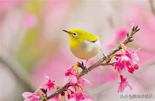 老话说穷不走亲富不还,家富不养老相好什么意思