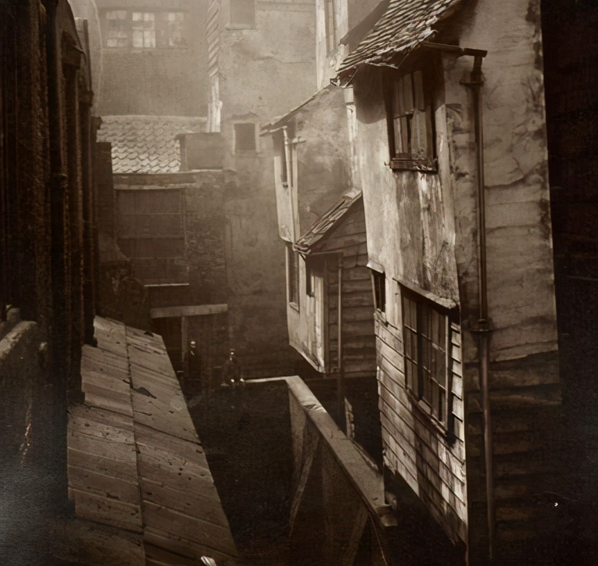 蒸汽世界植物的用法,蒸汽朋克世界玩法