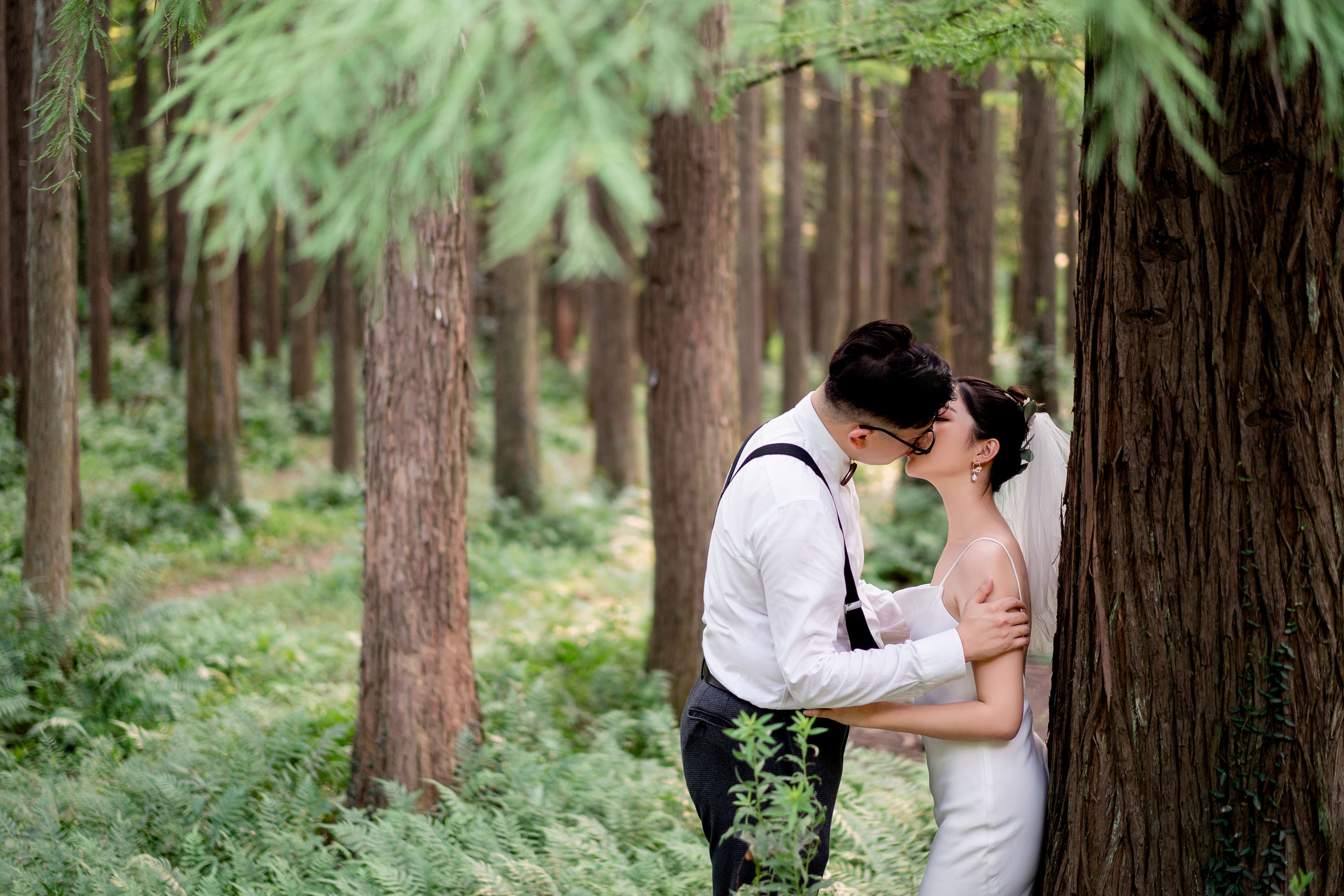 如何零基础自学摄影,如何系统地自学摄影后期