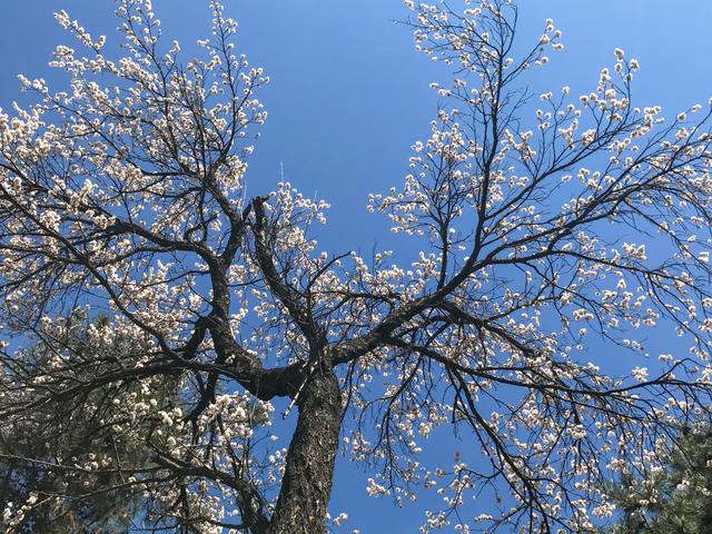 内蒙古的“土豪”大学,是一所省部共建高校,校园风景四季美如画