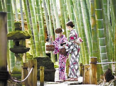 面对新冠疫情各国态度,新冠疫情给各国经验和教训