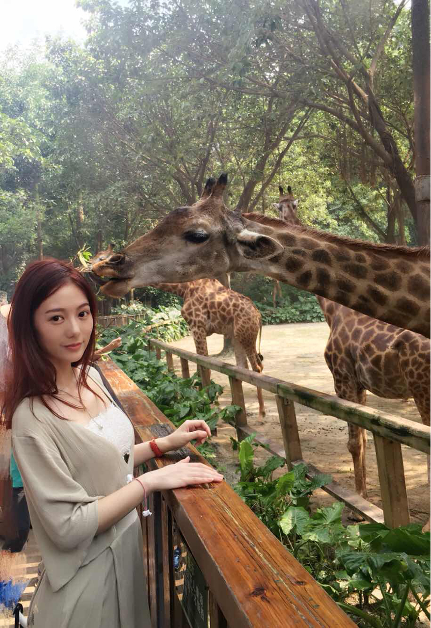 广州五一各大景区现状,广州五一有什么景点