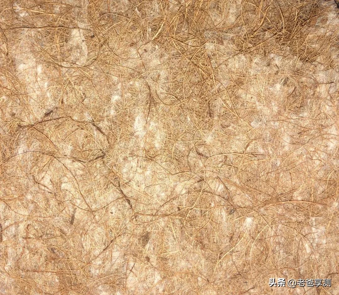 甲醛棕垫对学生有危害吗,甲醛棕垫宝宝睡了一年