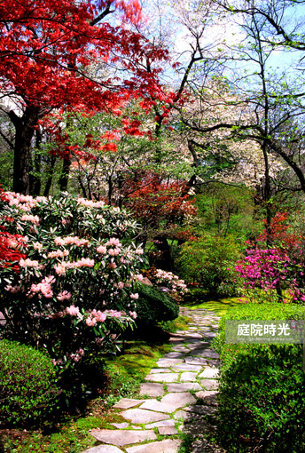 中式庭院古代老石板铺装,庭院铺装样式区域颜色搭配