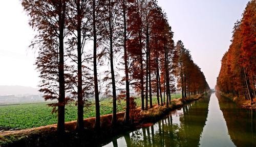 祁东三阳,一脚踏三省的古镇的地理位置