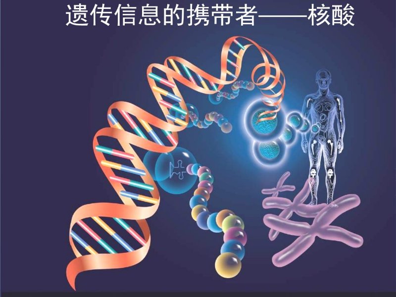 家庭带来的心理伤害,心理问题对身体影响有多大