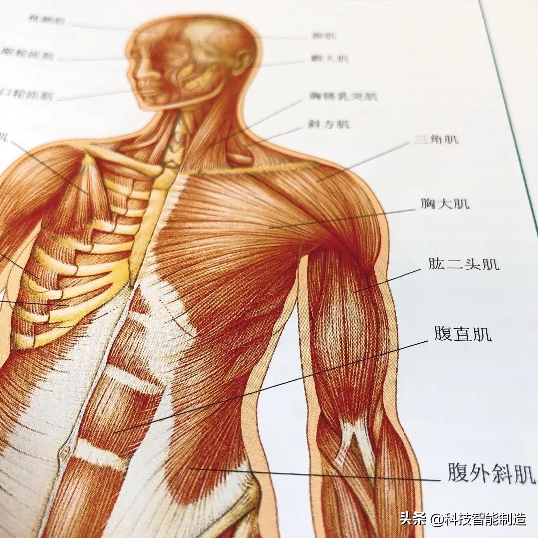 给家人宣讲健康知识记录,给父母科普健康知识小品