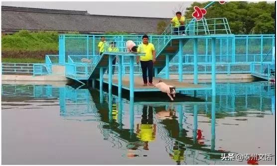 六一儿童节好去处泰州,泰州六一儿童节带孩子去哪玩