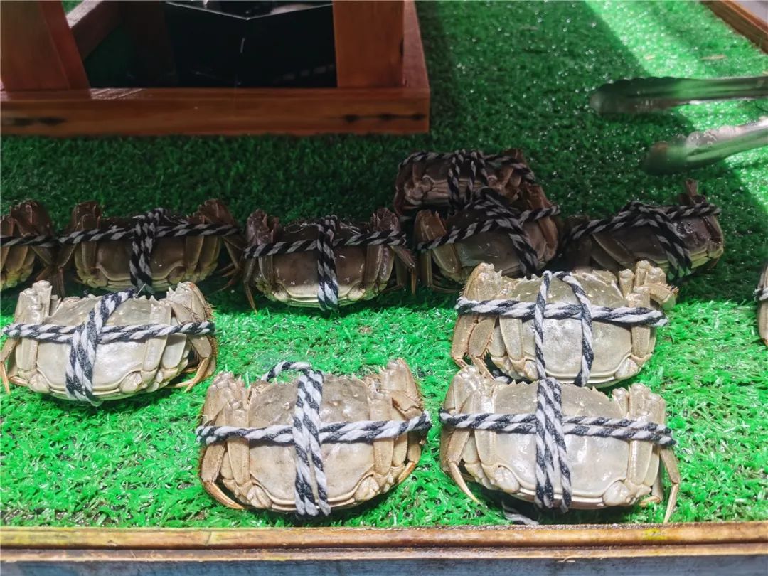 韫茬偣鎺㈠簵,韫茬偣鑰冨療缁濆懗楦剸