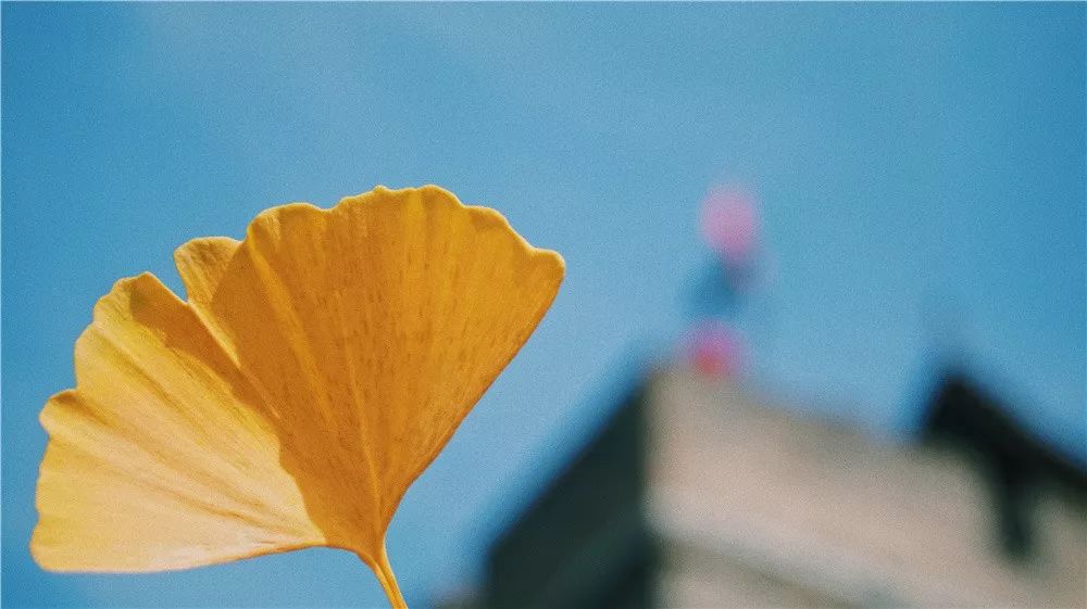 西安八月约会最佳地点,西安周末情侣最适合约会的地方