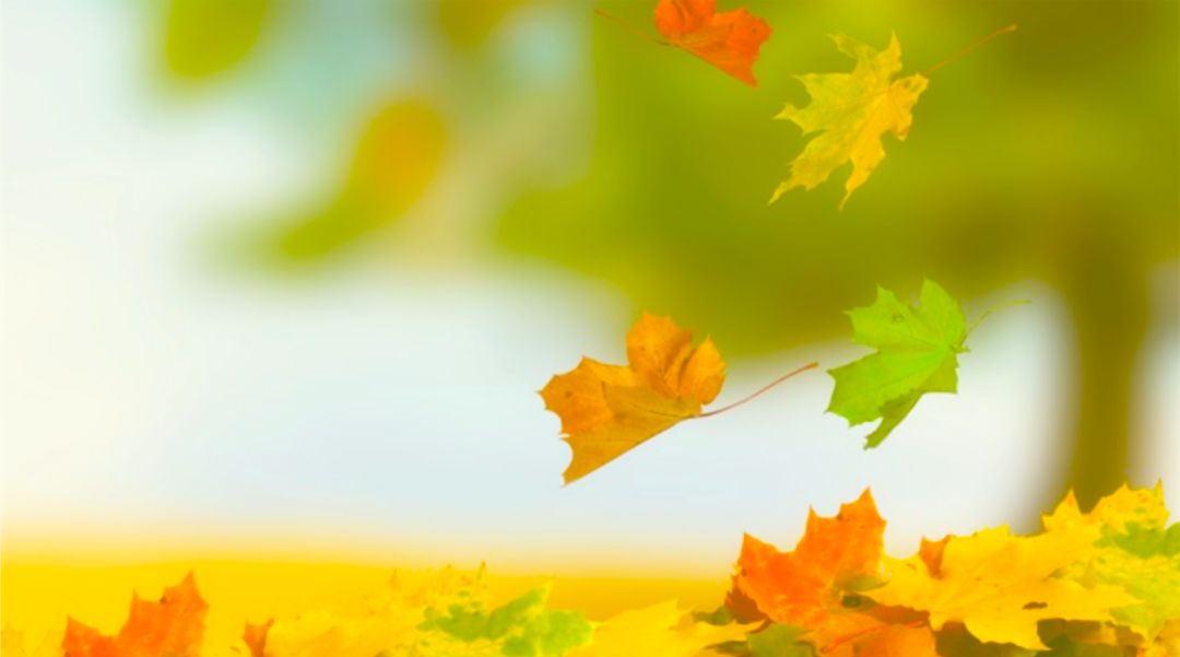 中华经典诵读作品100篇,古文经典诵读版