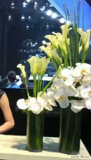 高贵雅致马蹄莲,高贵优雅马蹄莲永生花