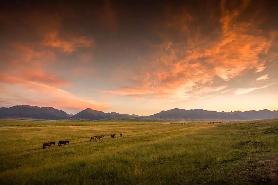 张掖啥意思,张掖古代叫什么