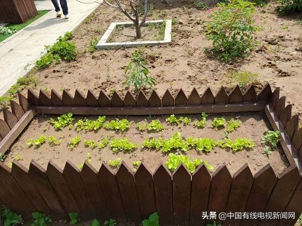 营口大石桥汤池羊汤,大石桥汤池好吃的