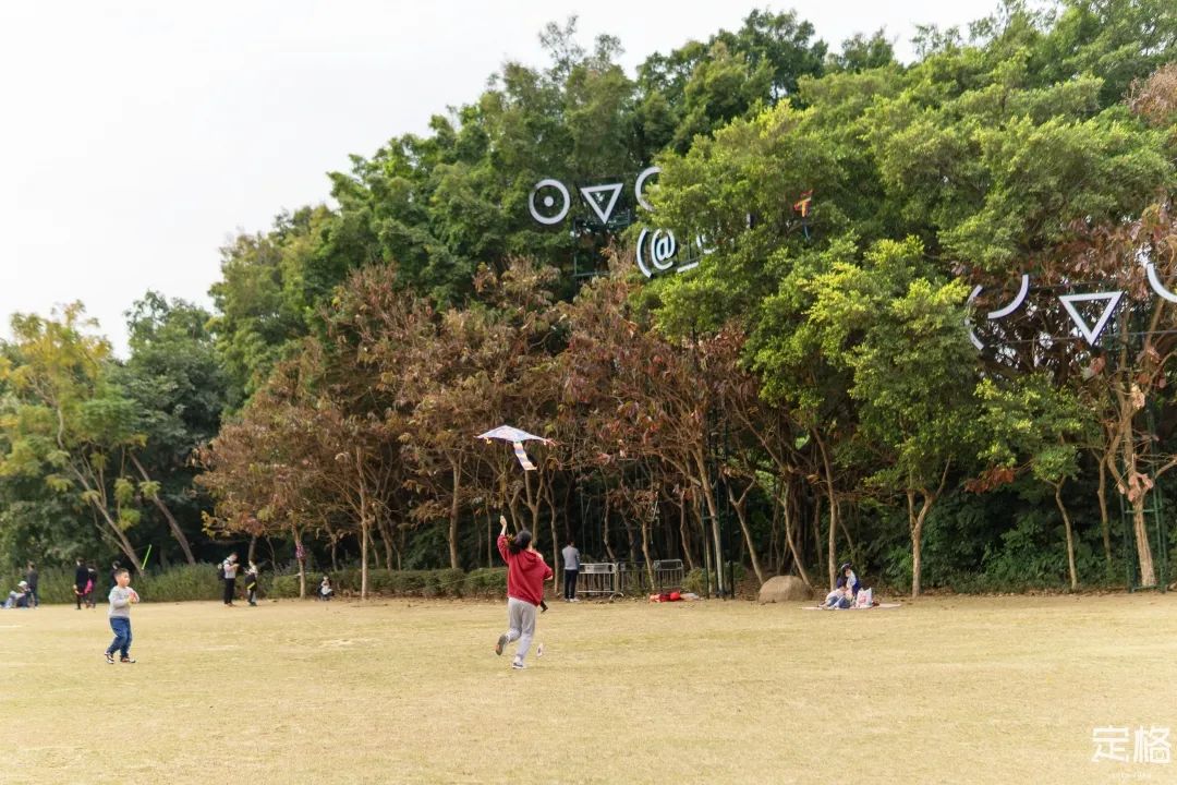 莲花山为啥一夜就火了,莲花山景区