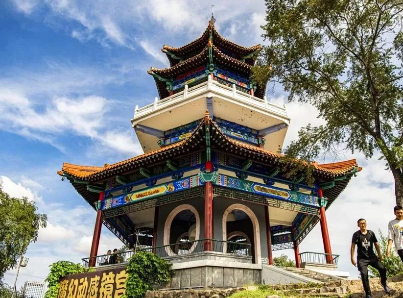 仙鹤起舞水粉画,仙鹤起舞展翅飞