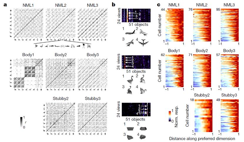nature发现背后的机制,nature详细解析