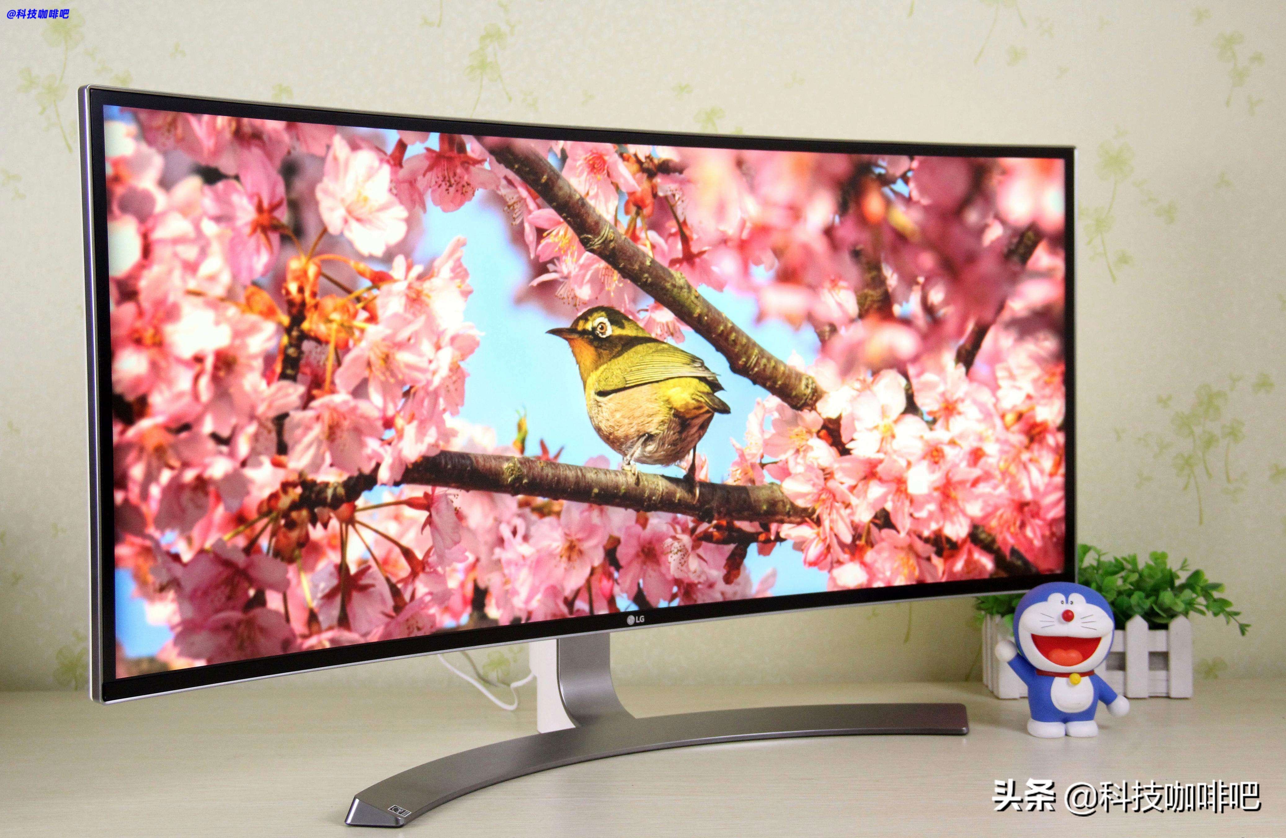 选择显示器主要看显卡吗,选择显示器是根据显卡还是cpu