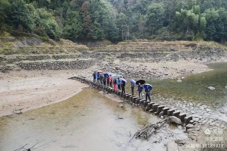 泰顺葛洋陶氏三兄弟修建的三条古道，等你来打卡～