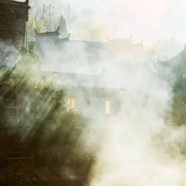 小林｜常恐秋风早，飘零君不知