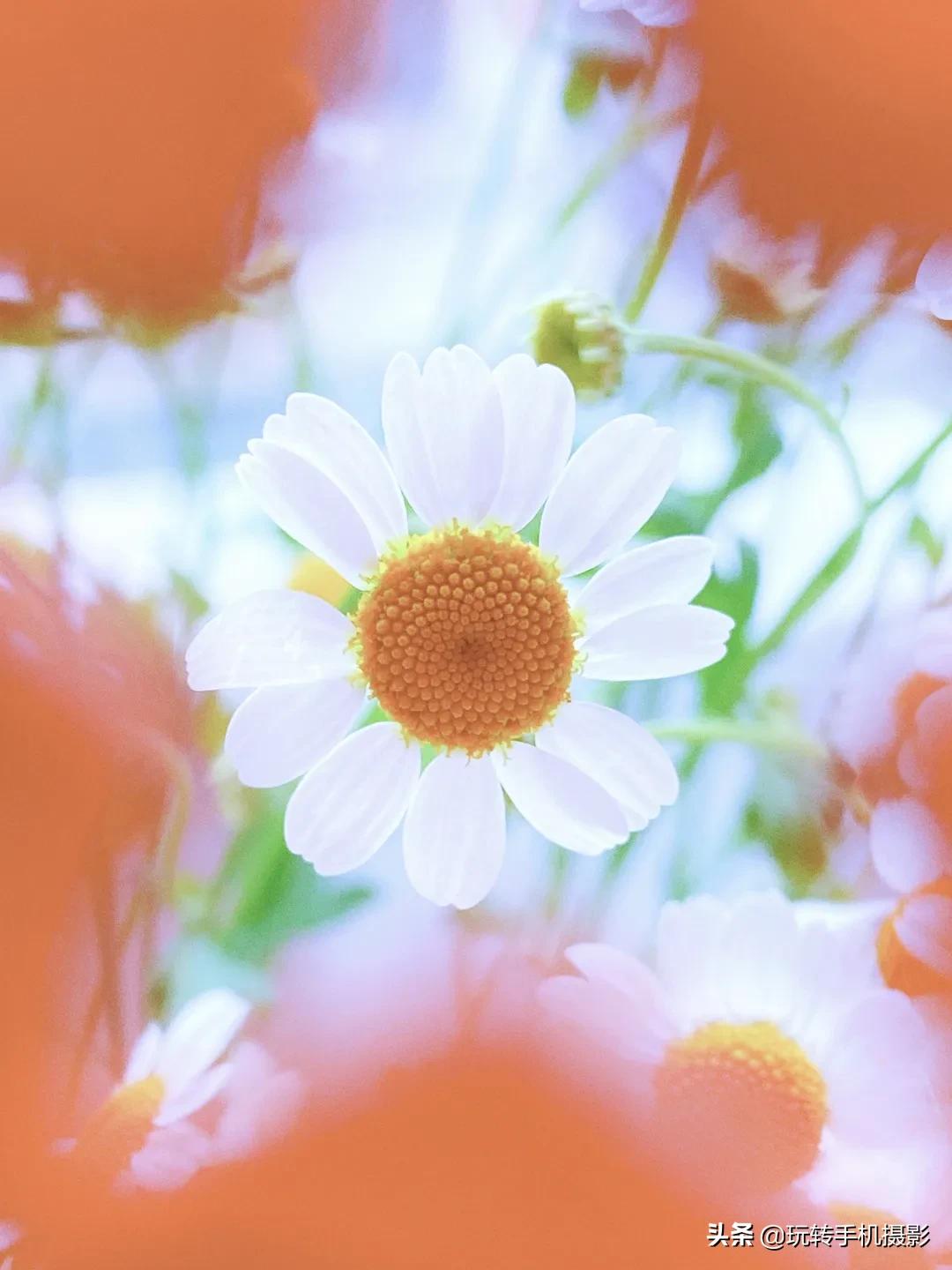 手机怎样拍照更好看而且清晰,手机拍照怎么让背景模糊人物清晰