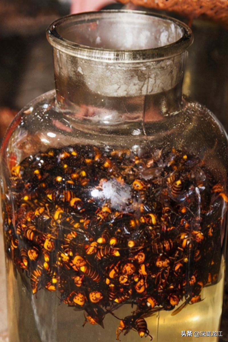 广西104岁老人自制药酒,爷爷泡的10年药酒