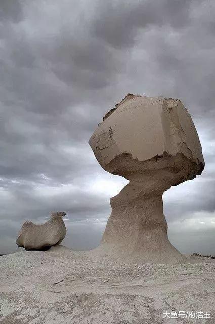 50张世界级照片赶快来看,壮观40张顶级照片