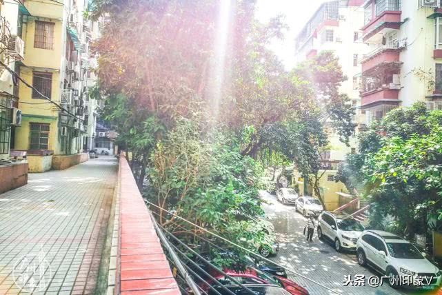 遇到老实人就嫁了吧,遇到贵州人你就嫁了吧