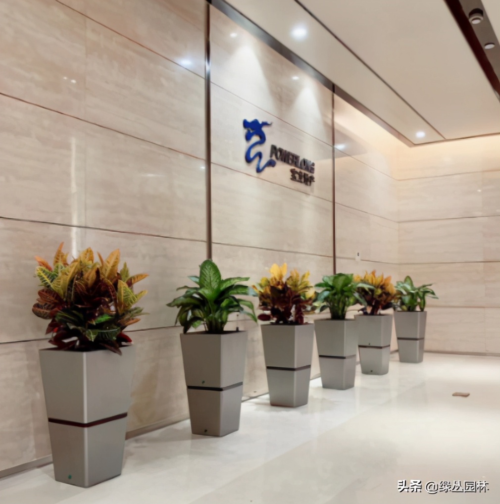 绿植花卉租摆合同书,绿植合同一般怎么写