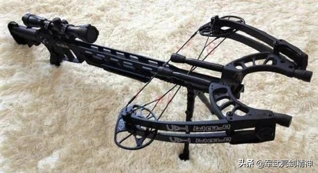 全球最好的弓弩:第2款“最变态”,轻松将大象头骨击碎,价值5万