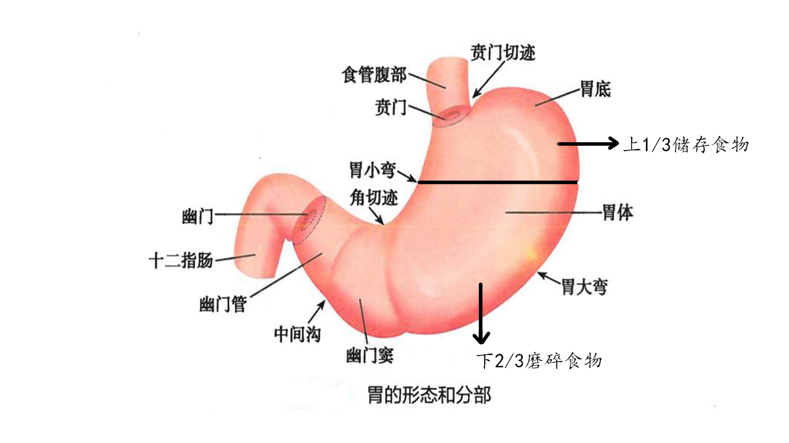喝酒解酒最简单的方法是什么,喝醉酒解酒的方法都是啥