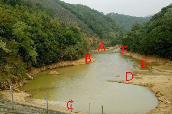 草鱼难钓,大水面如何快速诱草鱼