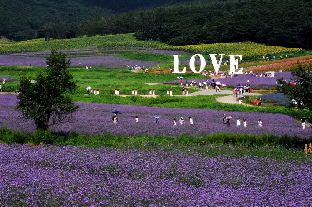 农业概况,中国农业基本现状