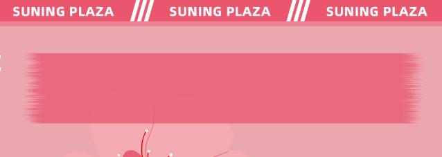10.30！苏宁广场邀您近距离接触乘风破浪的姐姐