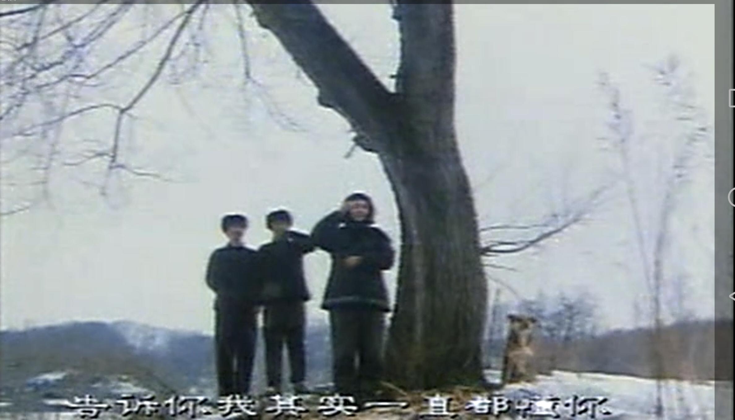 回忆80后童年十大动画片开头曲,80后回忆童年十大经典视频