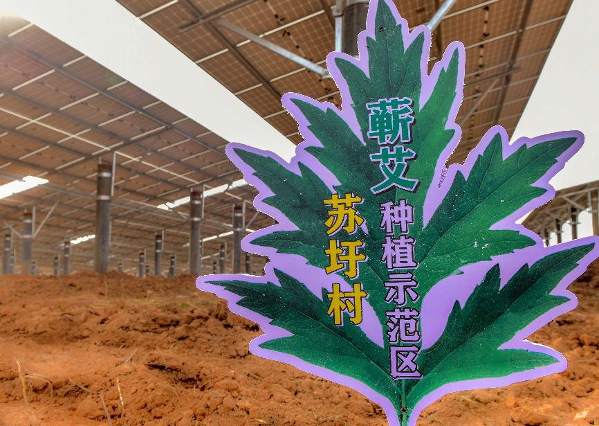 蕲春县太阳能光伏发电站,蕲春地面光伏哪里有