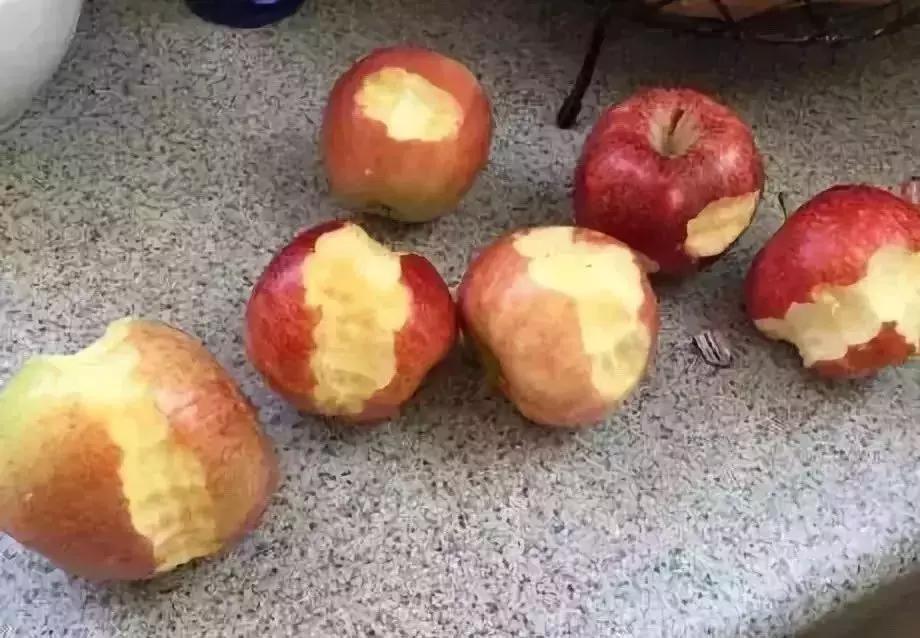 孩子静悄悄必定在“作妖”,孩子静悄悄必定在作妖怎么办