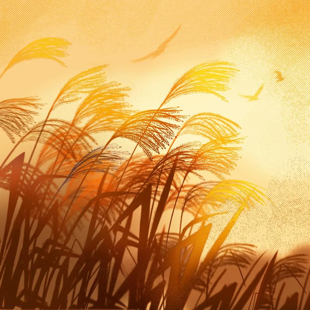 新东方如何转型素质教育,教育改革新东方怎么样了