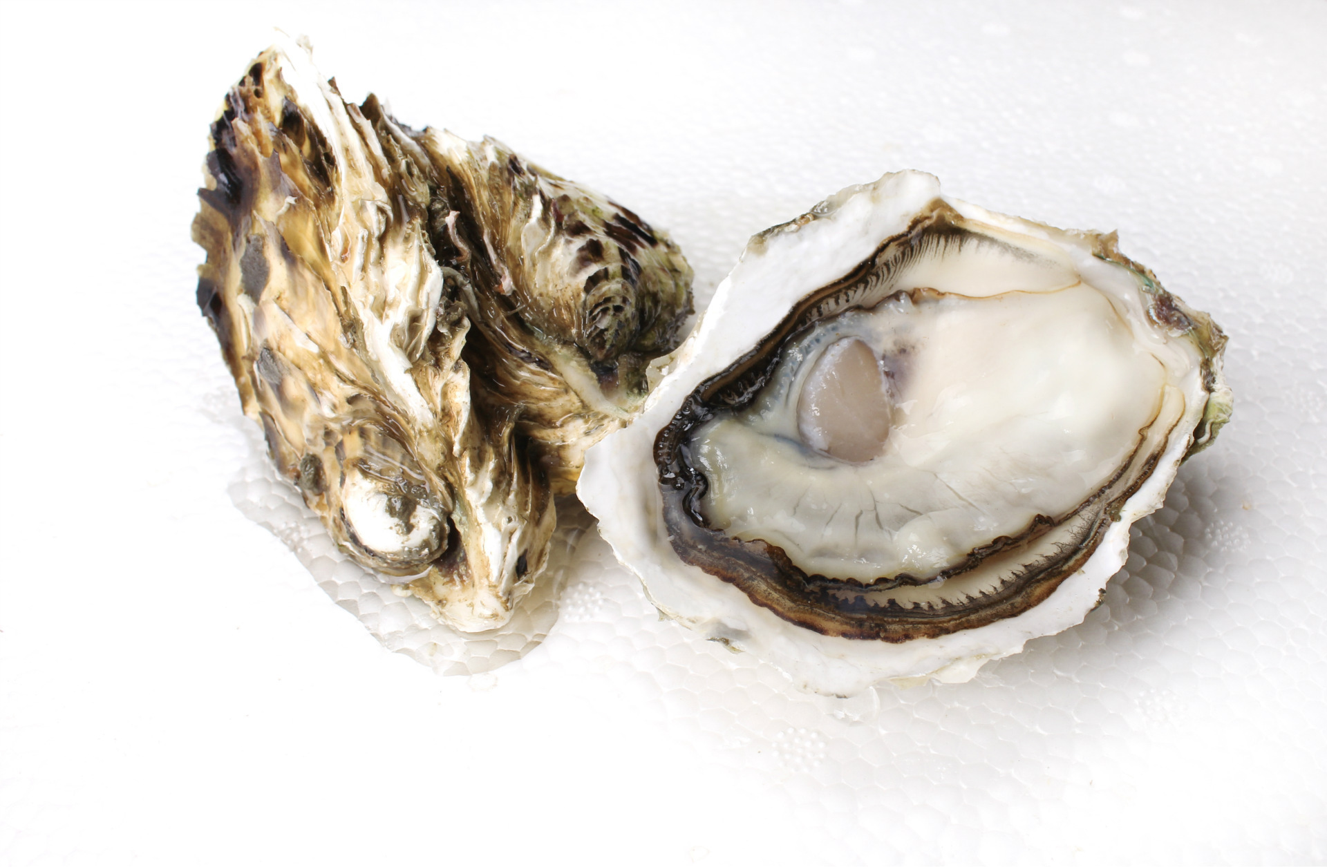 人体缺钙铁锌会出现什么症状,人体缺钾和钙引起哪些病症