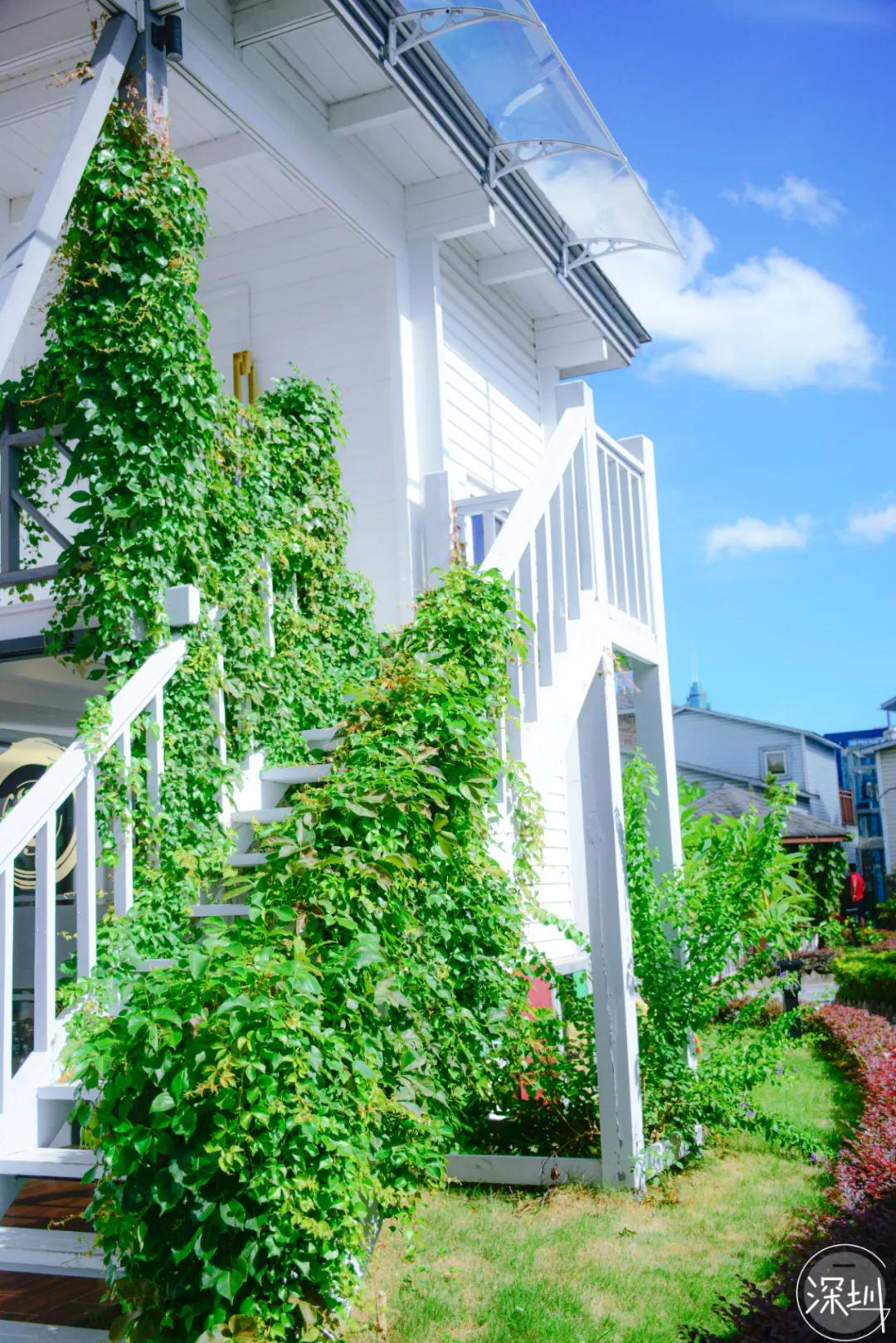 笋岗玩具批发,笋岗玩具市场