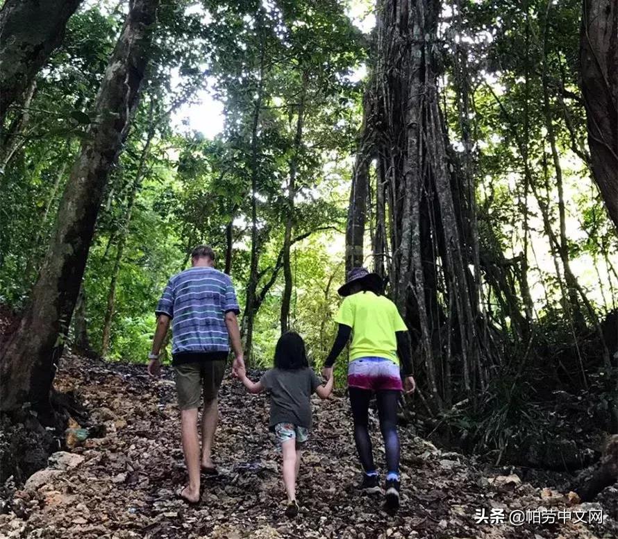 帕劳旅行水母湖,帕劳水母湖海岛