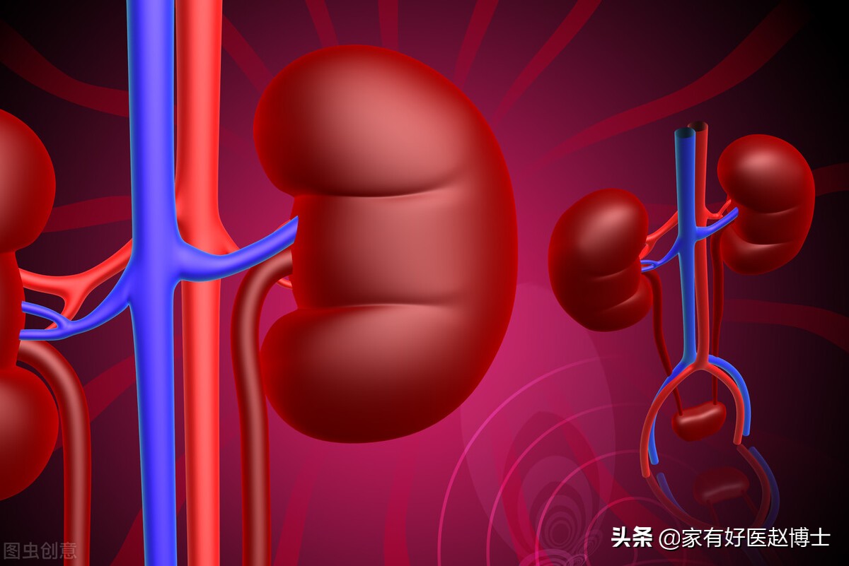 不伤肾的七种降糖药列表,降糖药护肾最新研究