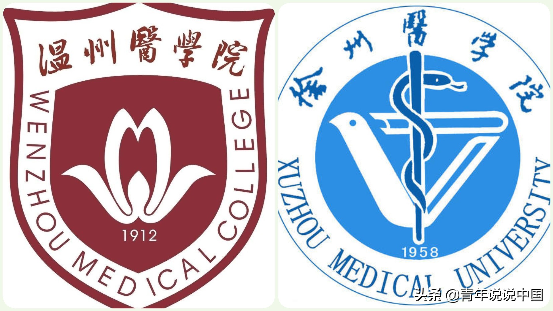 温医和安徽医科大学哪个好,徐医有什么专业