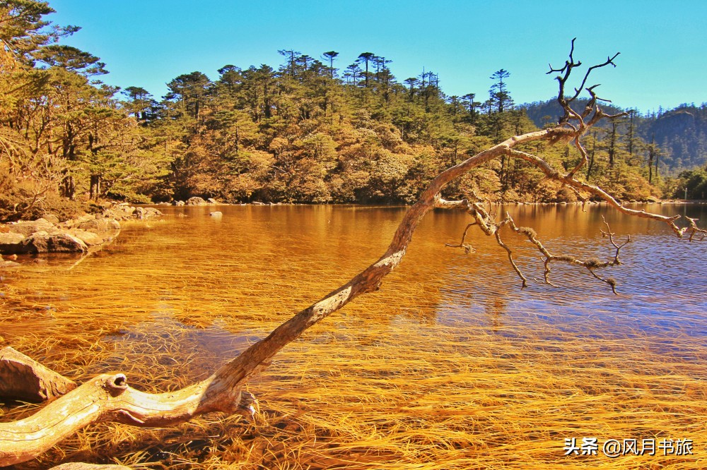 西昌山火肆虐过后救火者,西昌木里救火英雄