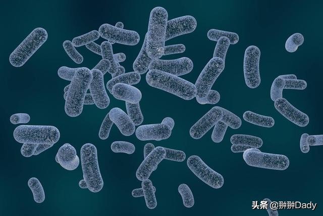 比厕所还脏的地方,有些地方比卫生间还不干净