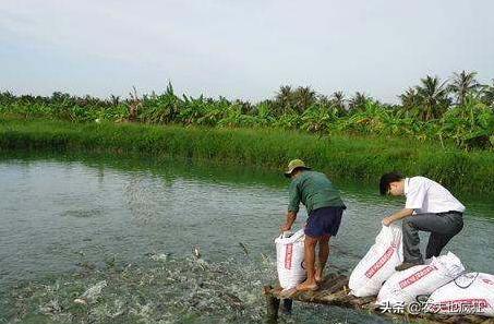 <html>
<head><title>502BadGateway</title></head>
<body>
<center><h1>502BadGateway</h1></center>
<hr><center>nginx</center>
</body>
</html>
<!--apaddingtodisableMSIEandChromefriendlyerrorpage-->
<!--apaddingtodisableMSIEandChromefriendlyerrorpage-->
<!--apaddingtodisableMSIEandChromefriendlyerrorpage-->
<!--apaddingtodisableMSIEandChromefriendlyerrorpage-->
<!--apaddingtodisableMSIEandChromefriendlyerrorpage-->
<!--apaddingtodisableMSIEandChromefriendlyerrorpage-->
