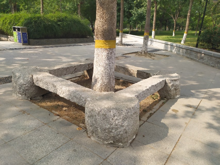 东环公园冬季图片,东环公园景点的介绍