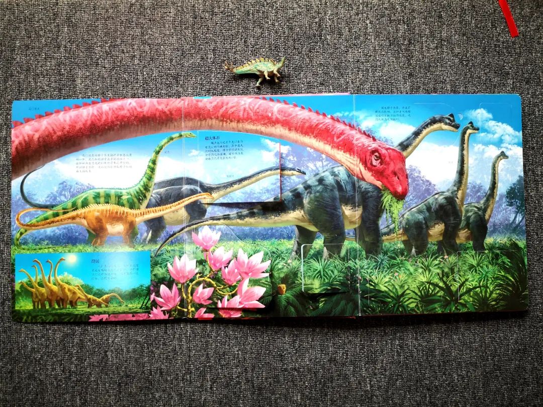 适合孩子看的恐龙科普书,适合5岁孩子看的恐龙科普书